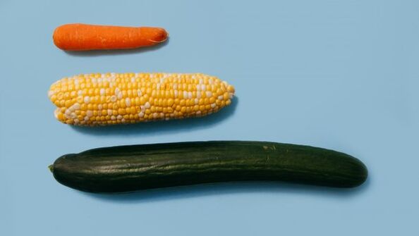 Diferentes tamanhos de um membro do sexo masculino no exemplo de vegetais